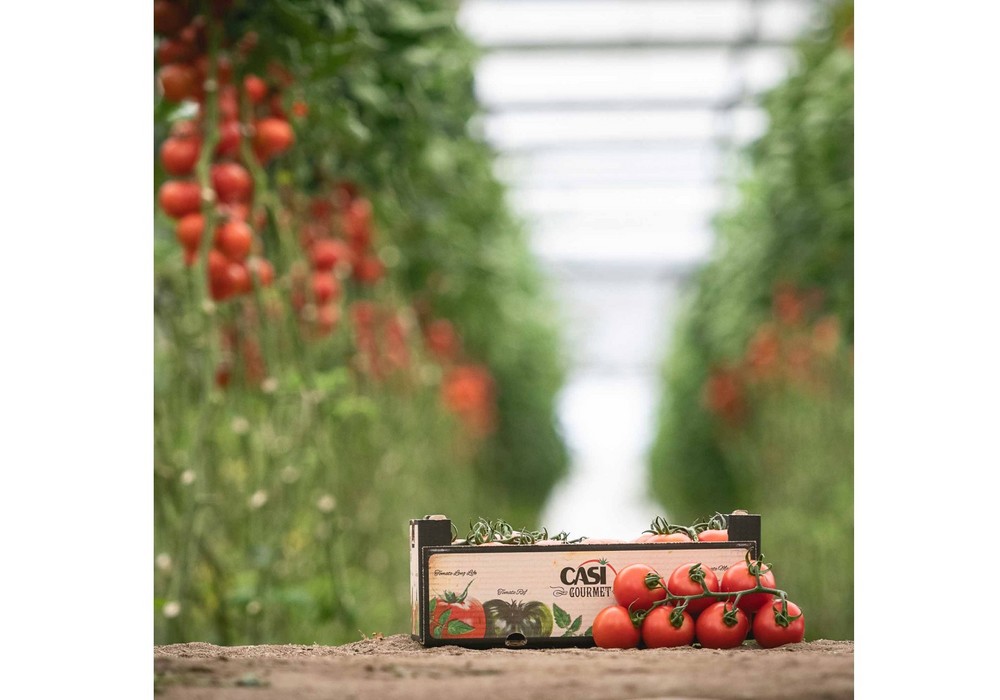 CASI participa en Fruit Attraction con nuevas Especialidades, Imagen y una apuesta firme en su línea Organic by CASI