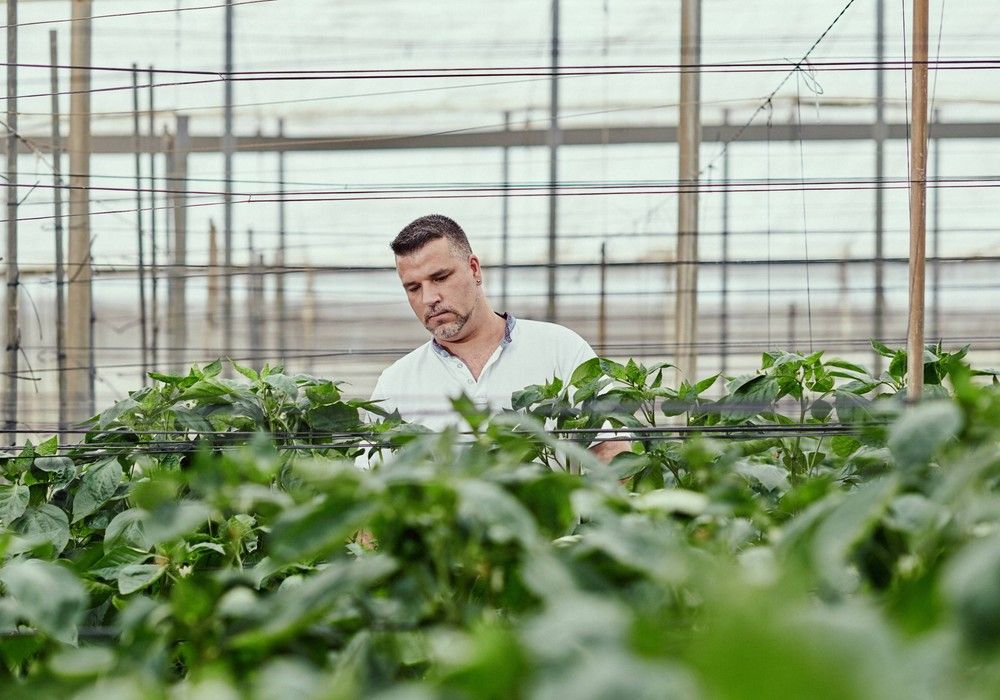 La Unión y Ecoterrae se unen para optimizar su huella hídrica