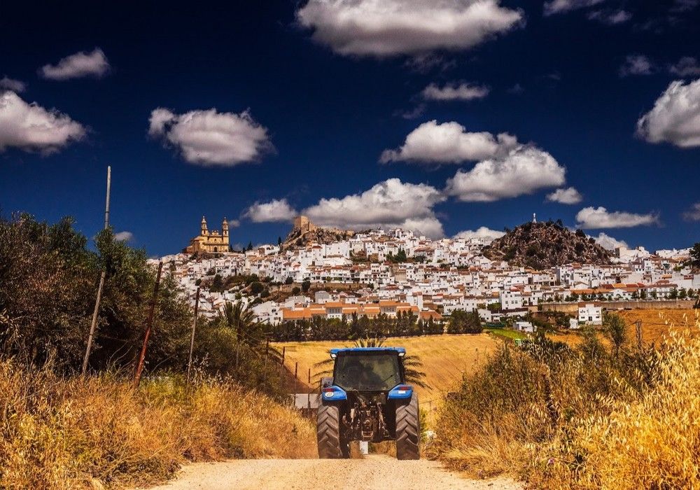 La Consejería de Agricultura inicia el pago de 845,8 millones de euros de anticipo de la PAC