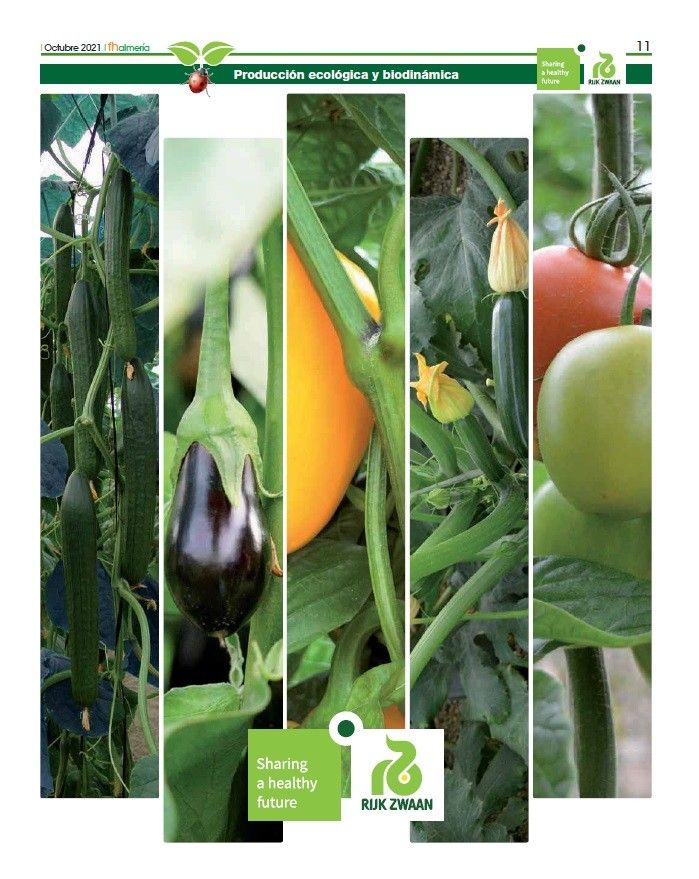 Octubre 2021 || Especial Cultivo ecológico de Rijk Zwaan