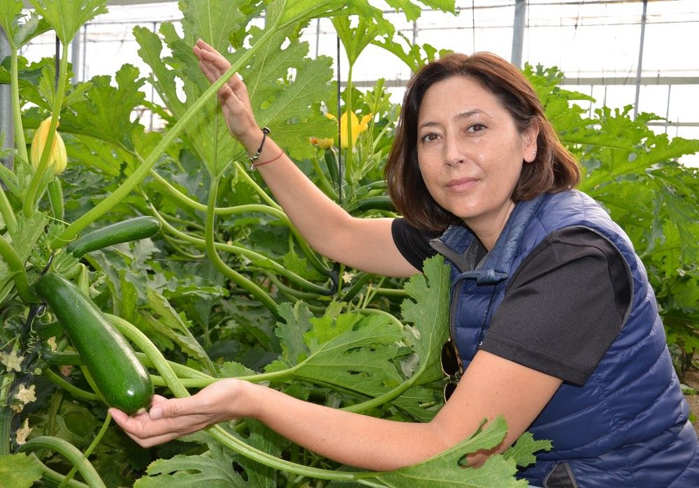 Más de 400 agricultores conocen Dharma, el calabacín resistente a Nueva Delhi de HM.CLAUSE