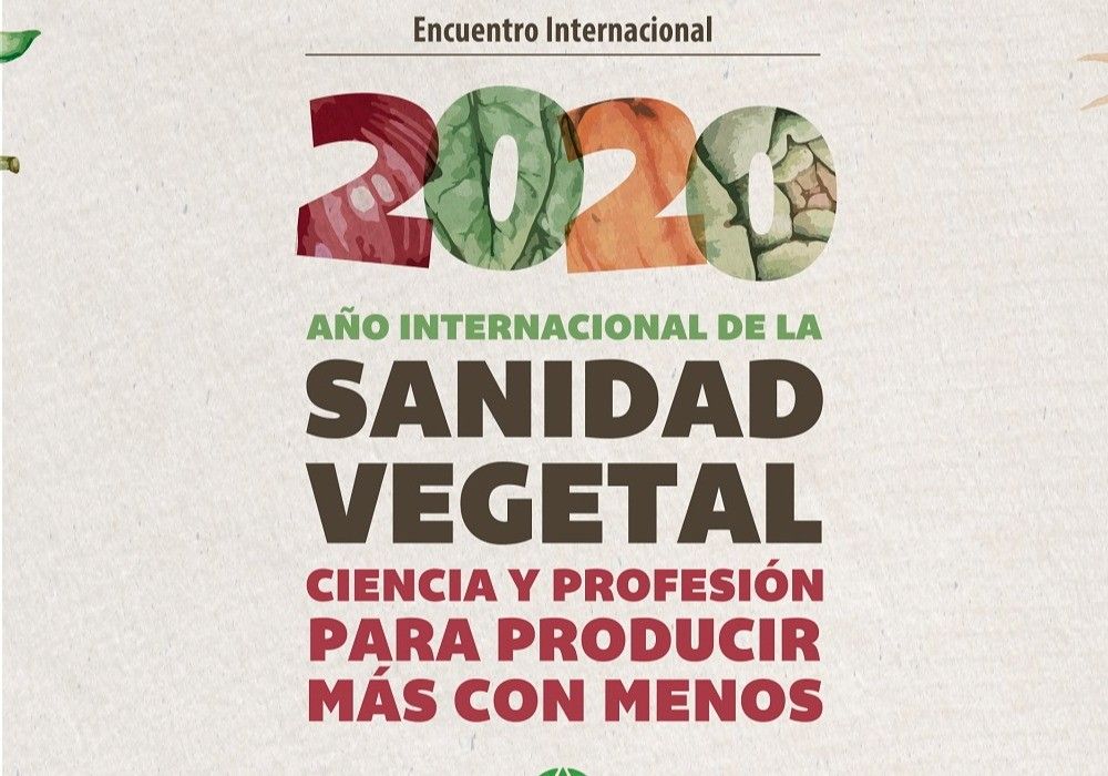Año Internacional de la Sanidad Vegetal: las mayores amenazas para la agricultura española