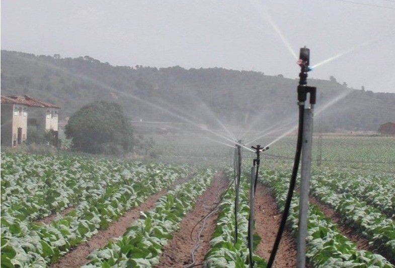 El Ministerio de Agricultura, Pesca y Alimentación firma en Almería los primeros convenios para modernizar regadíos