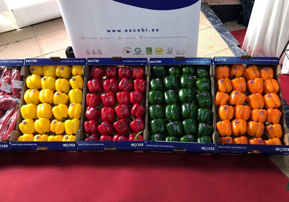 Comienzan las VI Jornadas de Pimiento Temprano de Dalías