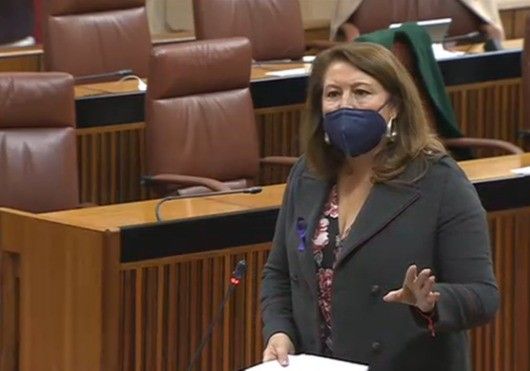 Carmen Crespo solicita una tarifa especial agraria para consumo de energía y un IVA reducido del 10% para los insumos agrícolas