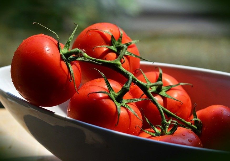 Los tomates suben de precio, pero bajan los pepinos en la semana 47 del año