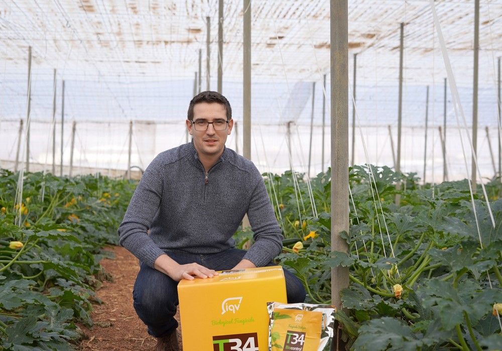 Los productos biológicos de IQV son la solución para el control de plagas y enfermedades sin residuos en hortícolas
