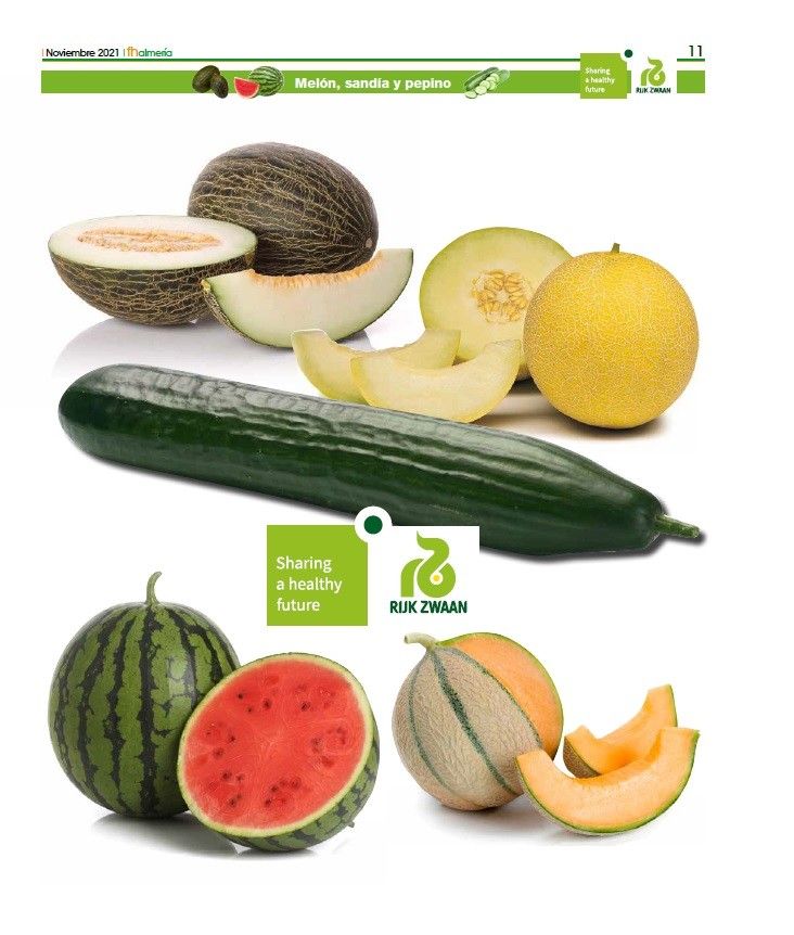 Noviembre 2021|| Especial pepino, melón y sandía de Rijk Zwaan