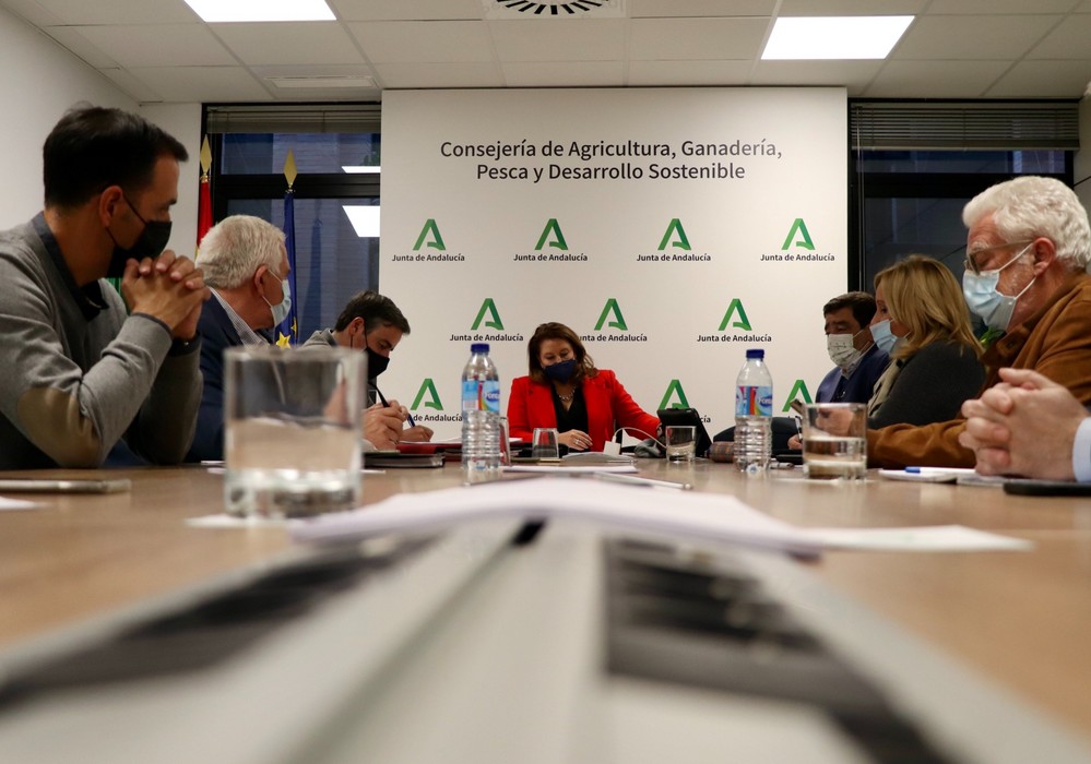 Andalucía presentará alegaciones a la versión inicial del Plan Estratégico Nacional de la PAC
