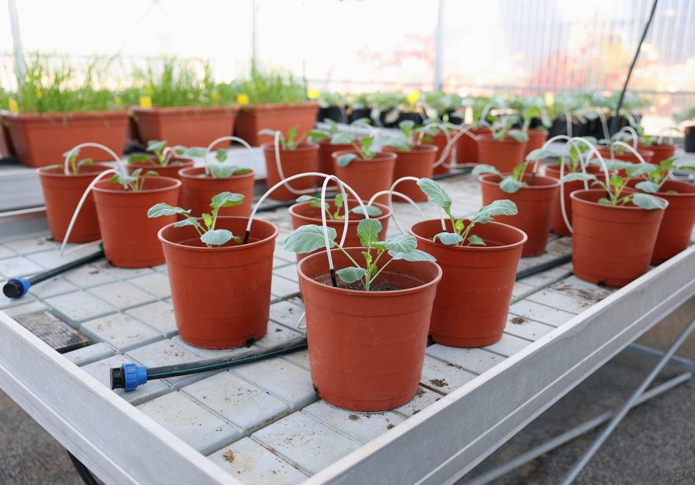 La conservación del suelo agrícola como elemento clave para nuestro futuro y bienestar