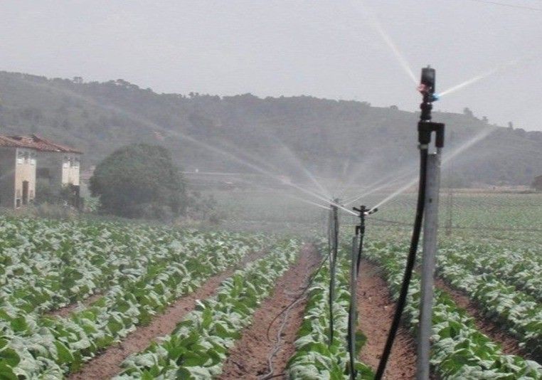 El Gobierno movilizará la cifra histórica de 1.243 millones de euros para la modernización de regadíos en el periodo 2021-2026