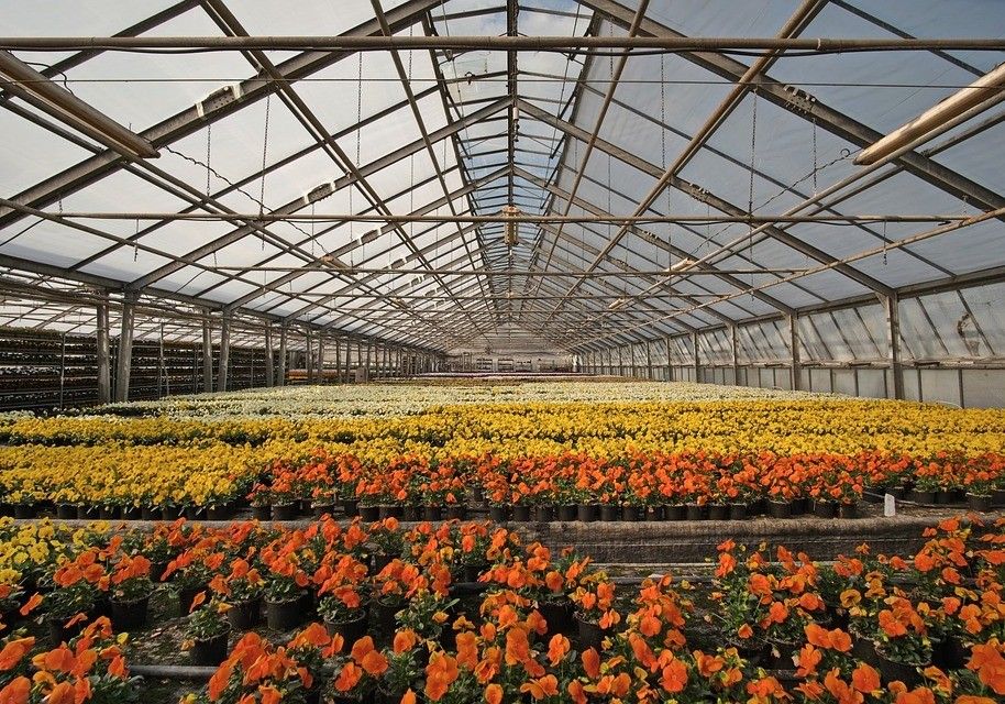  El 46,5% de los beneficiarios provisionales de las ayudas a la modernización de explotaciones son jóvenes agricultores y ganaderos