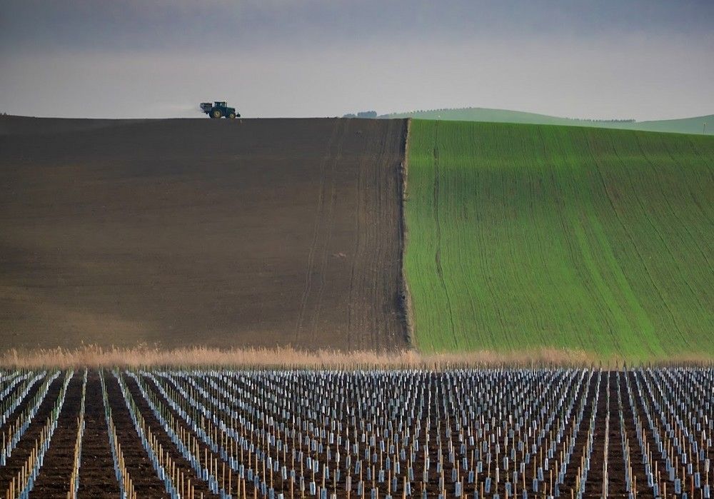 La Junta adelanta el pago de cerca de un millón de euros en ayudas a seguros agrarios previstas para 2022