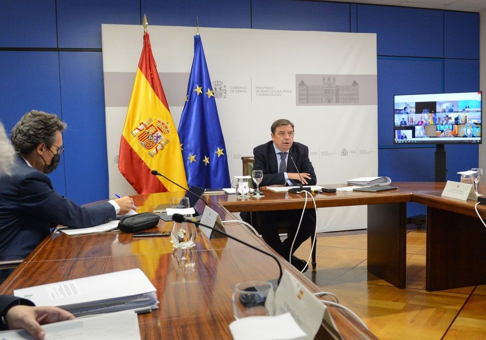 Luis Planas informa a los consejeros y consejeras de las comunidades autónomas del estado del Plan Estratégico de la PAC