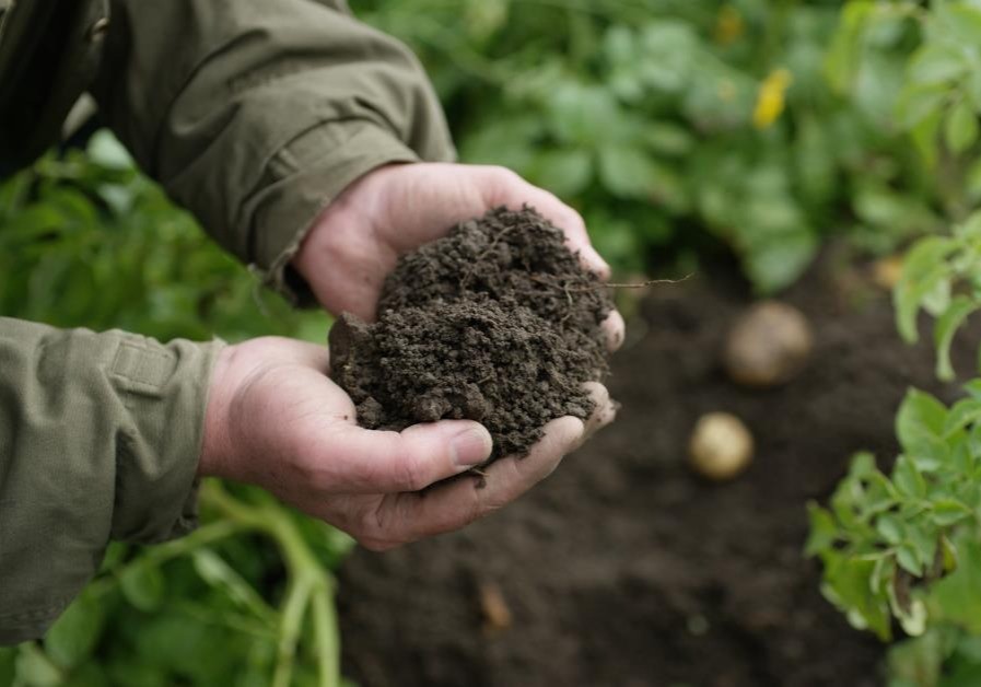 La División de Soluciones Agrícolas de BASF lanza a nivel global el Programa Carbono, que permite a los agricultores reducir sus emisiones de CO2