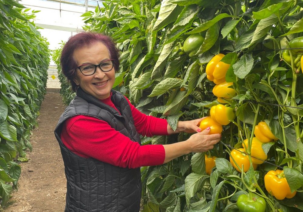 Ramiro Arnedo presenta sus novedades en pimiento en El Ejido