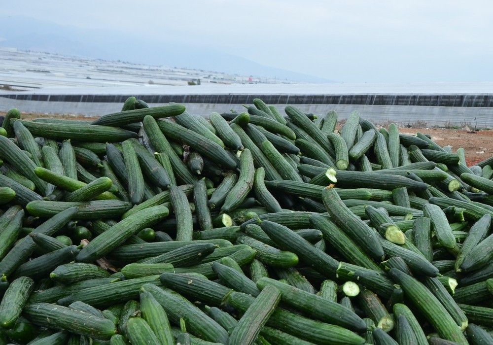 Agricultura atiende una petición del campo de “hace 10 años” al avanzar en el marco jurídico para implantar la extensión de norma