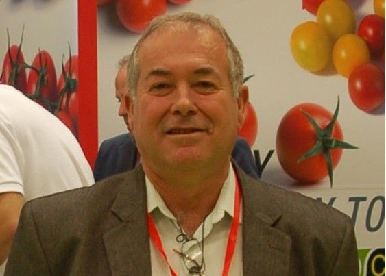 Coprohníjar lleva el mejor tomate de Almería a los mercados europeos