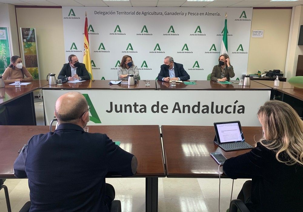 Agricultura y Hortyfruta avanzan en el desarrollo de la extensión de norma tras aprobarse en el Parlamento el Decreto de Simplificación