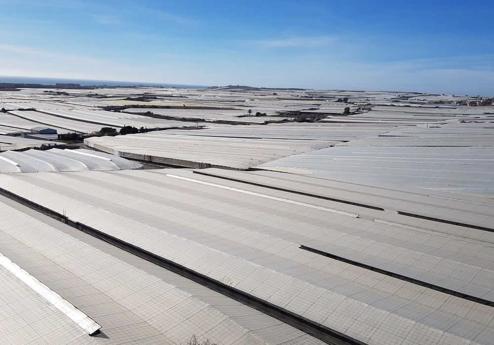 Inverconec desarrolla una herramienta digital que permite la gestión integral de la producción bajo invernadero