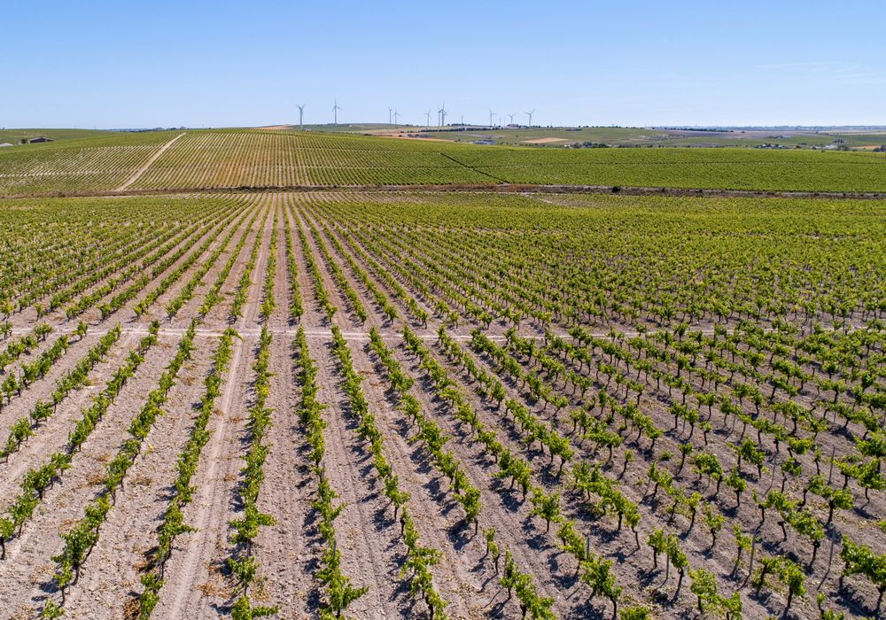 CAAE amplía su acreditación para poder certificar bajo el Nuevo Reglamento 848 de producción ecológica