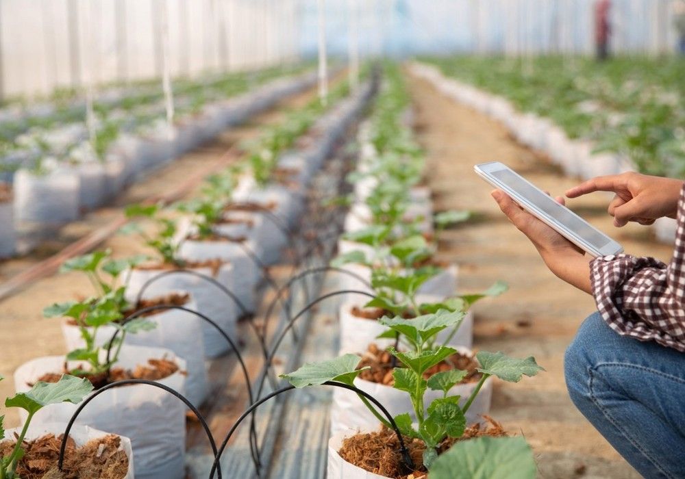 IQV Agro España acerca la ‘Agricultura de Precisión’ al campo almeriense