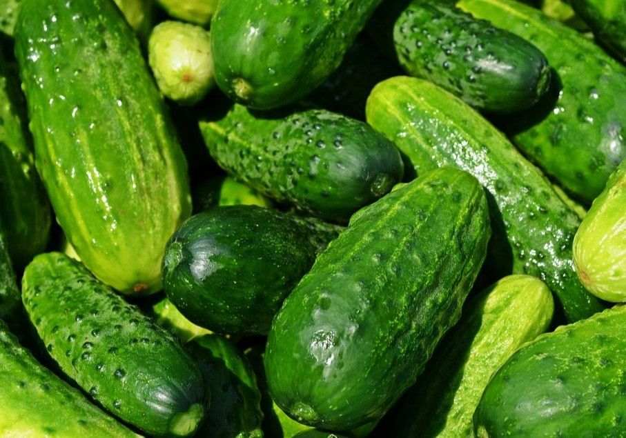El nuevo año comienza con buenos precios en la pizarra agrícola almeriense