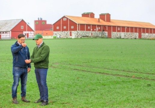 Yara y Lantmännen firman el primer acuerdo comercial de fertilizantes verdes