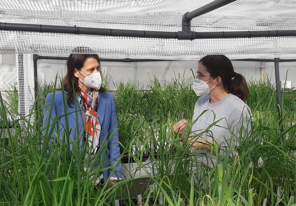 BASF recibe la visita de la delegada de la Consejería de Agricultura de Andalucía, María Isabel Solís Benjumea, en Utrera