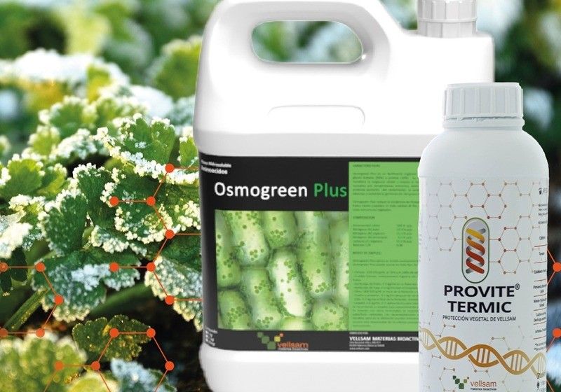 Soluciones biotecnológicas frente a las bajas temperaturas en los cultivos