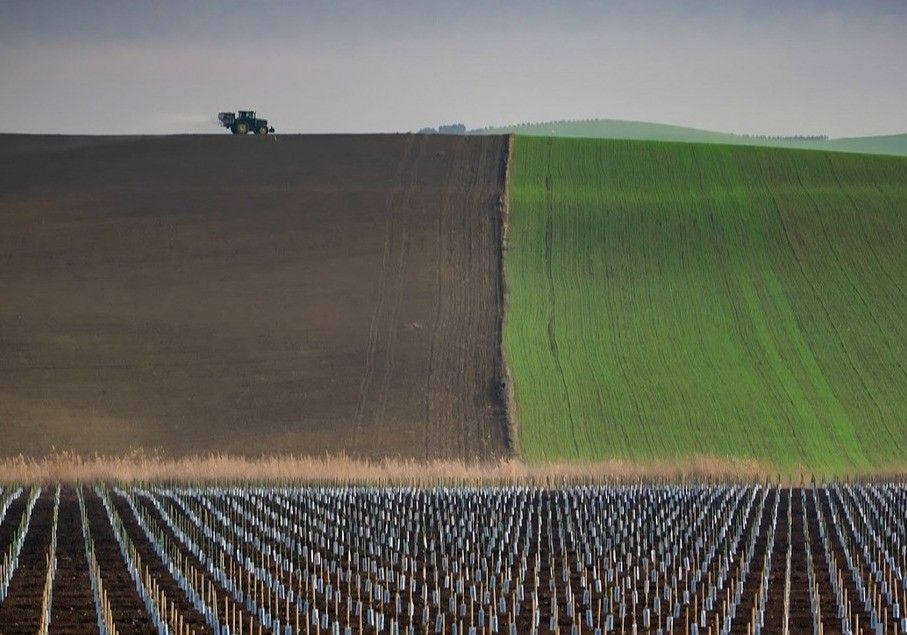 El Ministerio de Agricultura, Pesca y Alimentación inicia el procedimiento de información pública de la norma que regulará el Sistema de Información de Explotaciones Agrícolas (SIEX)