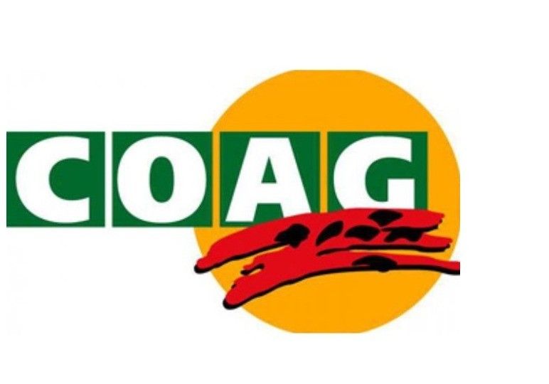 COAG Almería alerta: importantes pérdidas en el cereal del norte de la provincia por la sequía