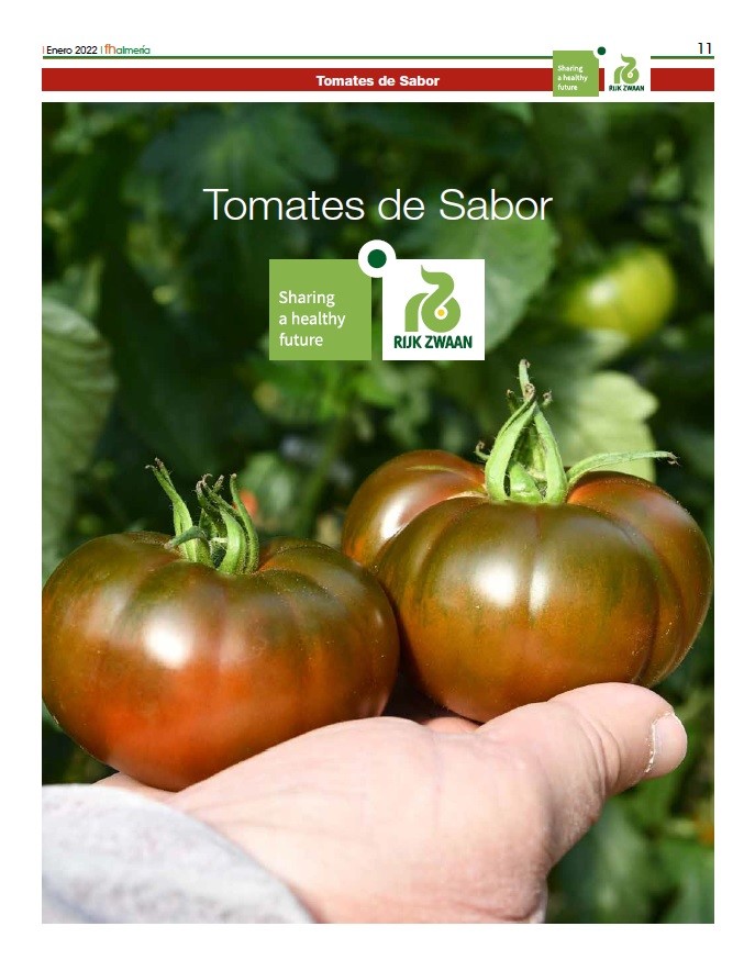 Enero 2022|| Especial Tomates de Sabor de Rijk Zwaan