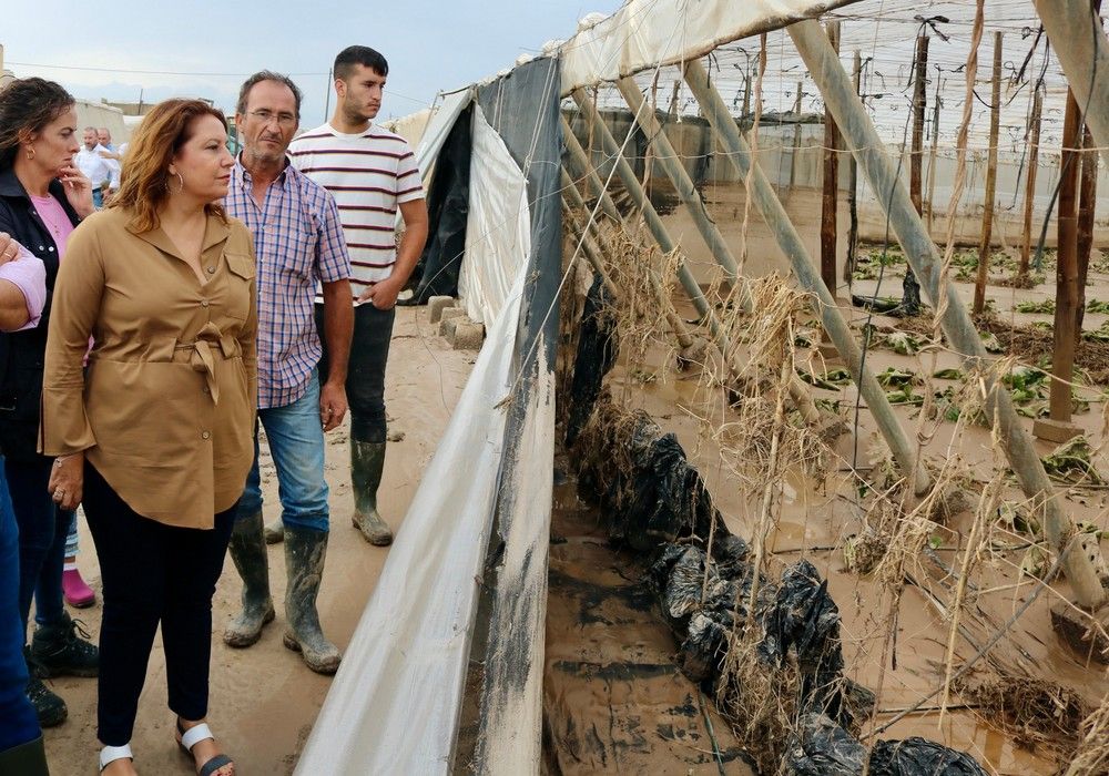 La Junta abona en 2021 cerca de 12 millones de euros en ayudas para facilitar la contratación de seguros agrarios a 10.533 andaluces