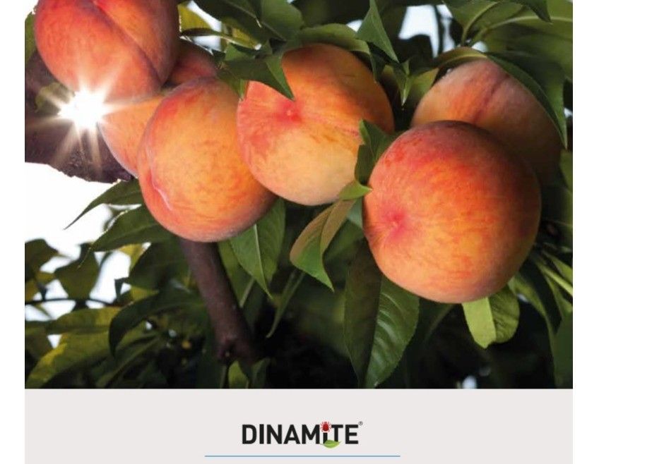 Certis obtiene una ampliación a frutales de cáscara para el acaricida Dinamite®