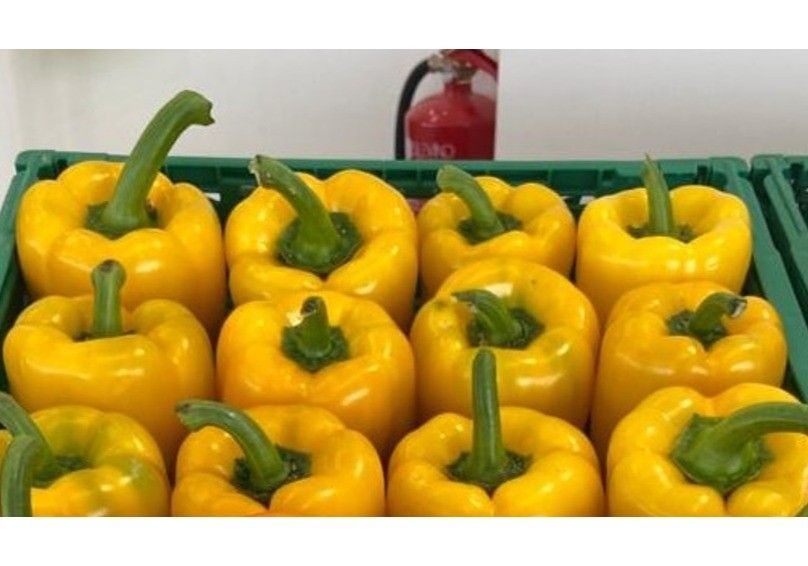 Los pimientos California mejoran su precio en la semana 6 del año con el amarillo rozando los 1,50 euros el kilo