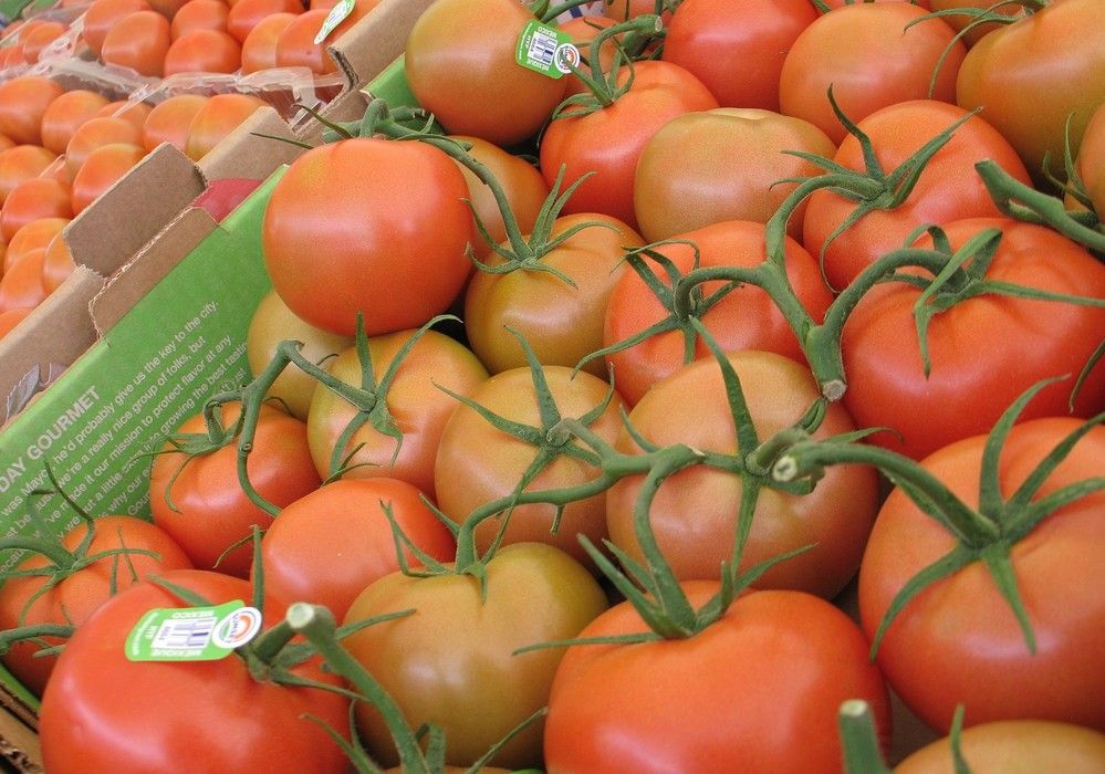 La exportación española de frutas y hortalizas en 2021 creció un 7% y alcanzó 15.689 millones de euros