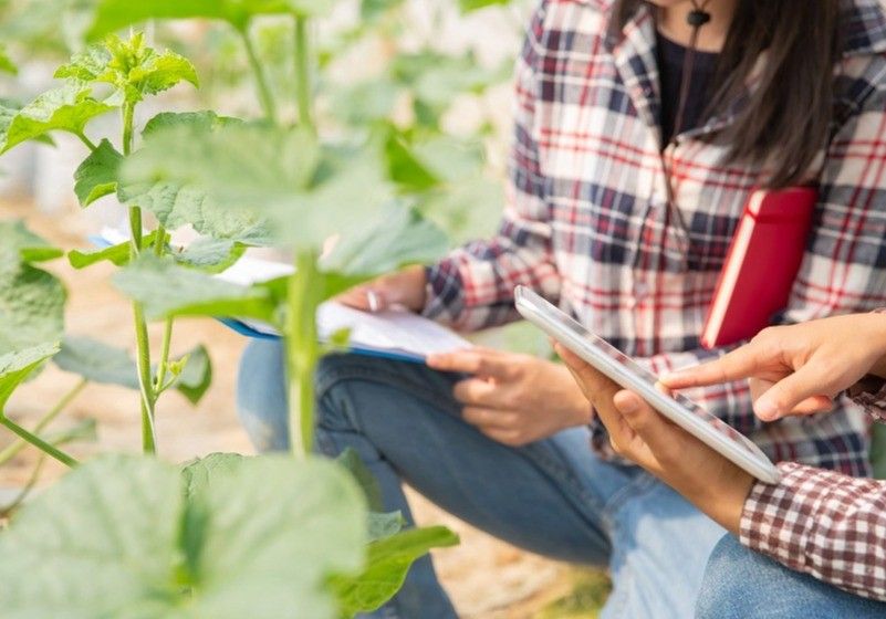 La inversión interna en I+D en el ámbito agroalimentario alcanzó los 845 millones de euros en 2020