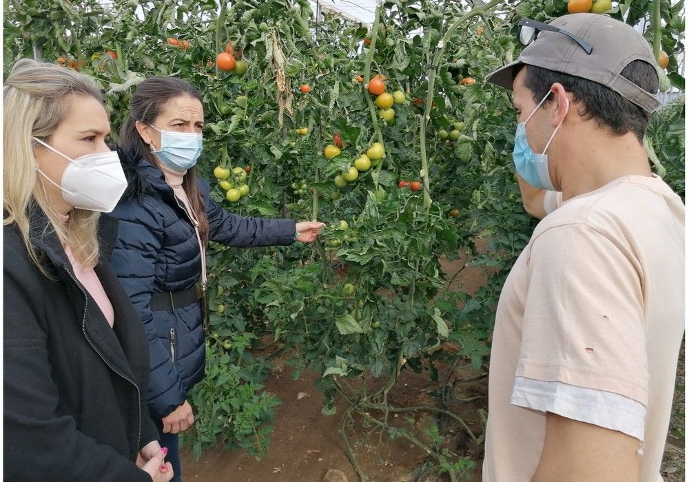 La Junta anima a los jóvenes a solicitar los incentivos para convertirse en agricultores profesionales