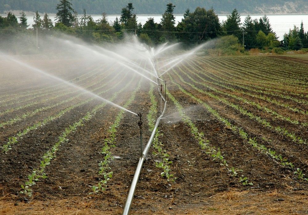 El Ministerio de Agricultura convoca la Mesa de la Sequía para el 4 de marzo