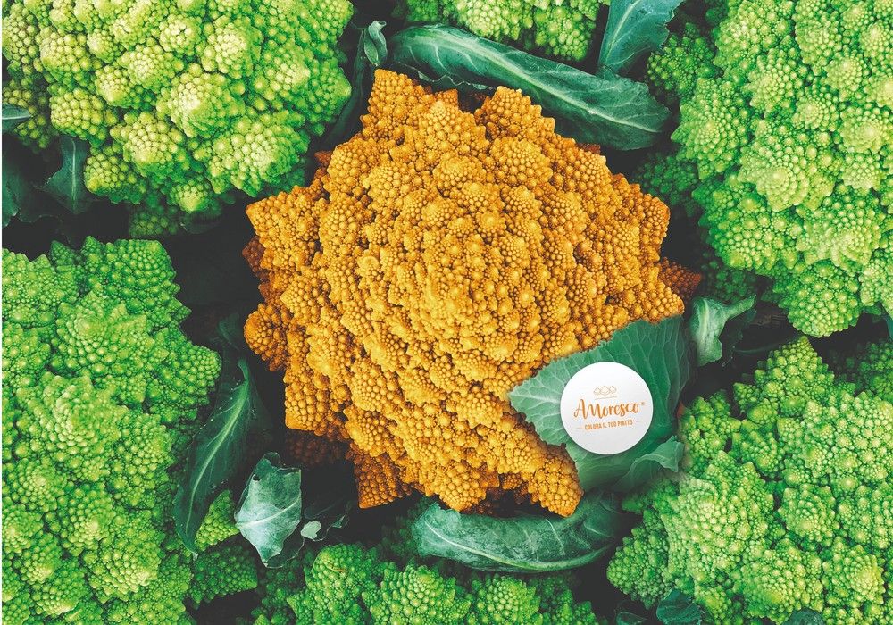 Amoresco®, la primera coliflor romanesco naranja,  nominada al premio Fruit Logistica Innovation Award 2022