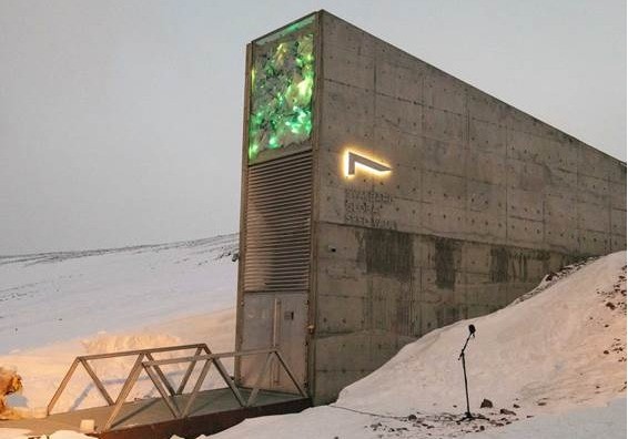 España depositará más de mil semillas en el Banco Mundial de Semillas de Svalbard, el ‘arca de Noé’ vegetal