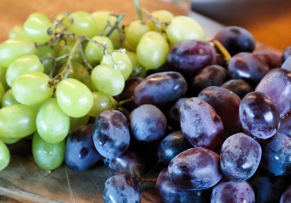Agroseguro presenta el Plan 2022 del seguro de uva de mesa