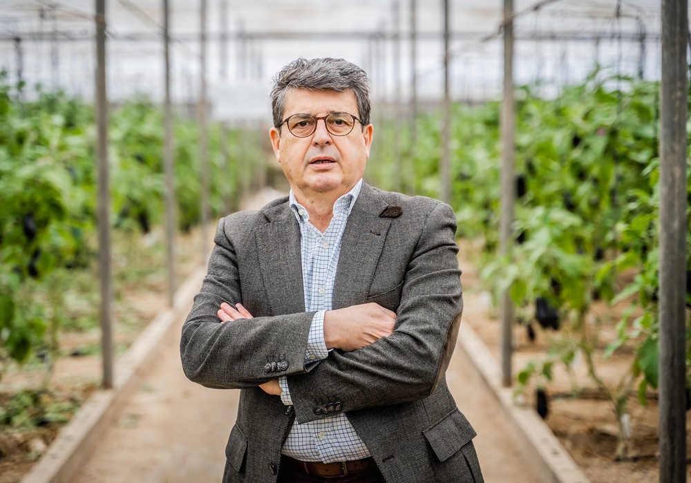 Matarí pide al Gobierno de Sánchez que ayude a los agricultores y apruebe la rebaja de módulos del IRPF para la renta de 2021