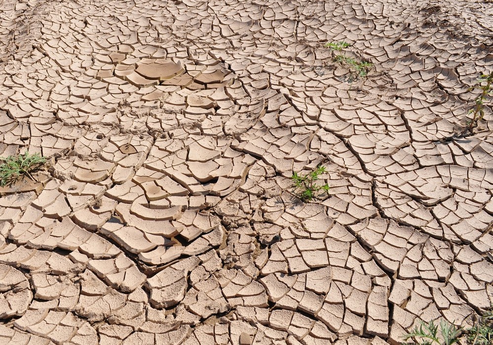 Las Cuencas Mediterráneas Andaluzas, excepto la provincia de Granada, declaradas en situación de excepcional sequía