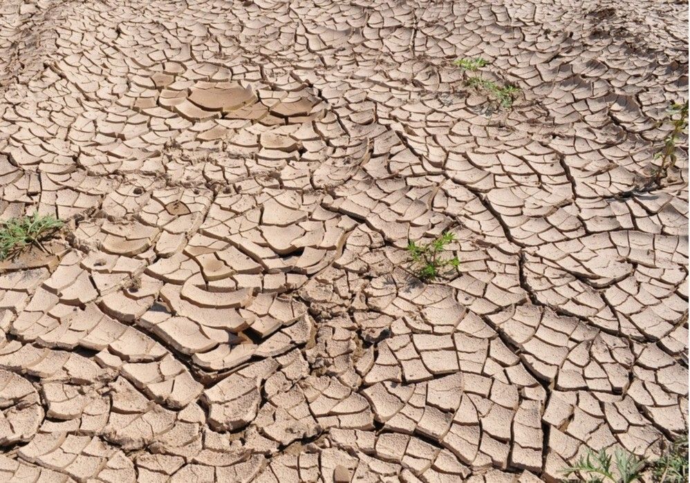  Luis Planas anuncia que el Gobierno aprobará mañana un paquete de medidas de apoyo al sector agrario para hacer frente a la sequía