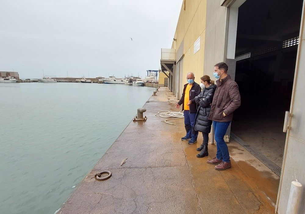 El PP pide ayudas directas, bonificaciones y bajada de impuestos “para evitar la ruina del campo y la pesca”