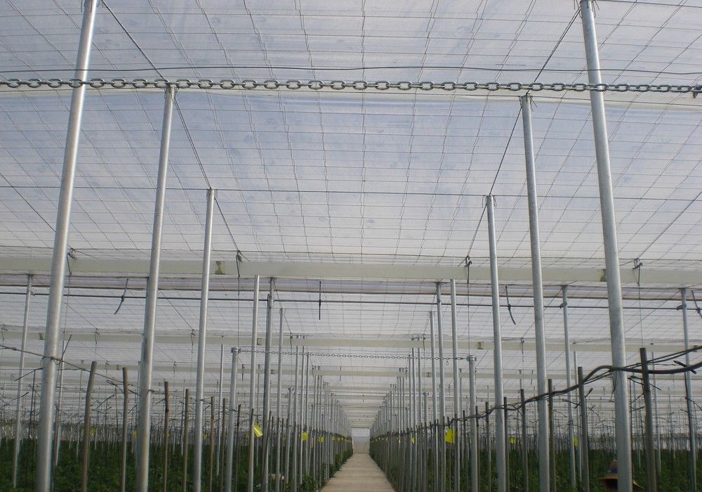 El precio de la cubierta de invernaderos sube un 47% respecto a 2021