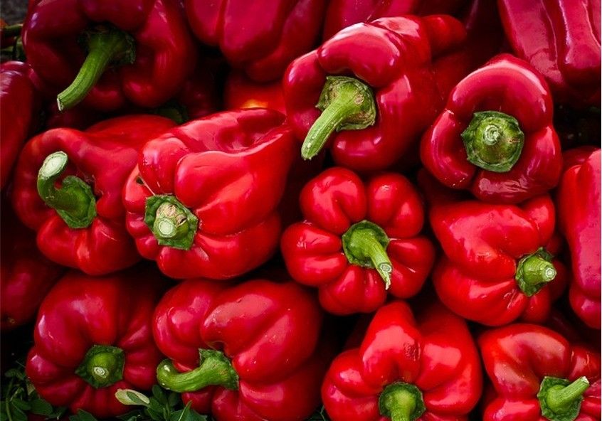 Pimiento y tomate cierran una semana muy buena en precio
