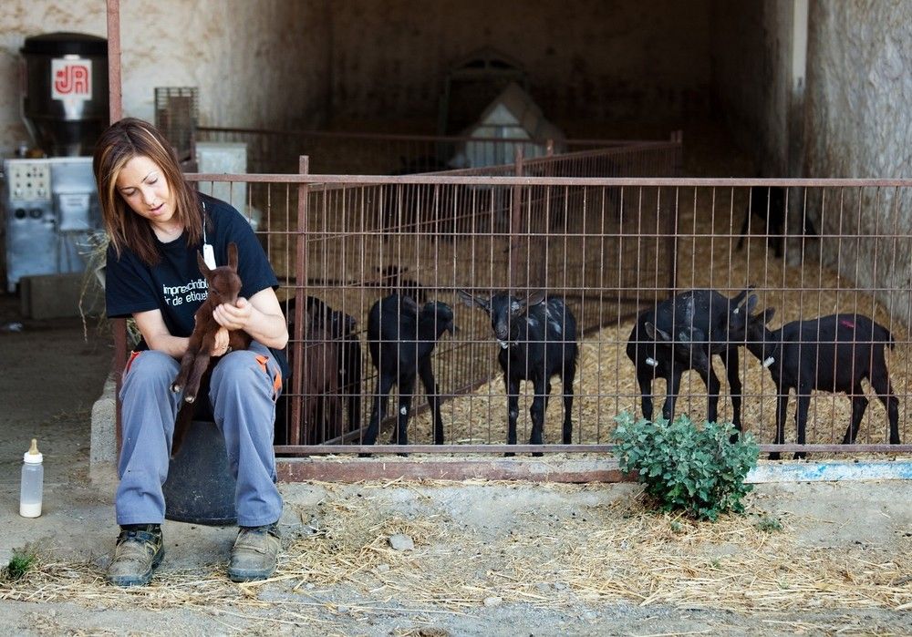 La Consejería de Agricultura amplía hasta el 19 de abril el plazo para solicitar las ayudas para jóvenes agricultores
